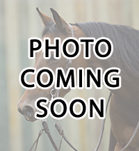 Image Coming Soon!